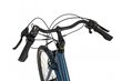 Elektriskais velosipēds Ecobike Basic 11,6 Ah Greenway, zils цена и информация | Elektrovelosipēdi | 220.lv