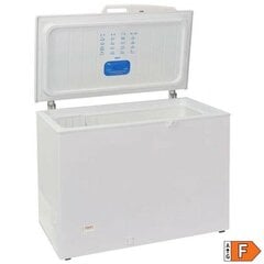 Tensai TCHEU220DUOF цена и информация | Морозильные камеры и морозильные лари | 220.lv