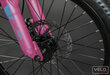 Bērnu velosipēds, Gust Frizzy 20cll rozā cena un informācija | Velosipēdi | 220.lv