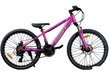 Bērnu velosipēds Gust Wave 24cll rozā cena un informācija | Velosipēdi | 220.lv