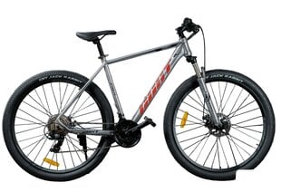 Горный велосипед Gust Dart 29cll серый цена и информация | Велосипеды | 220.lv