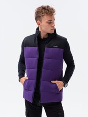 Vīriešu veste Ombre V36 violeta цена и информация | Мужские жилетки | 220.lv