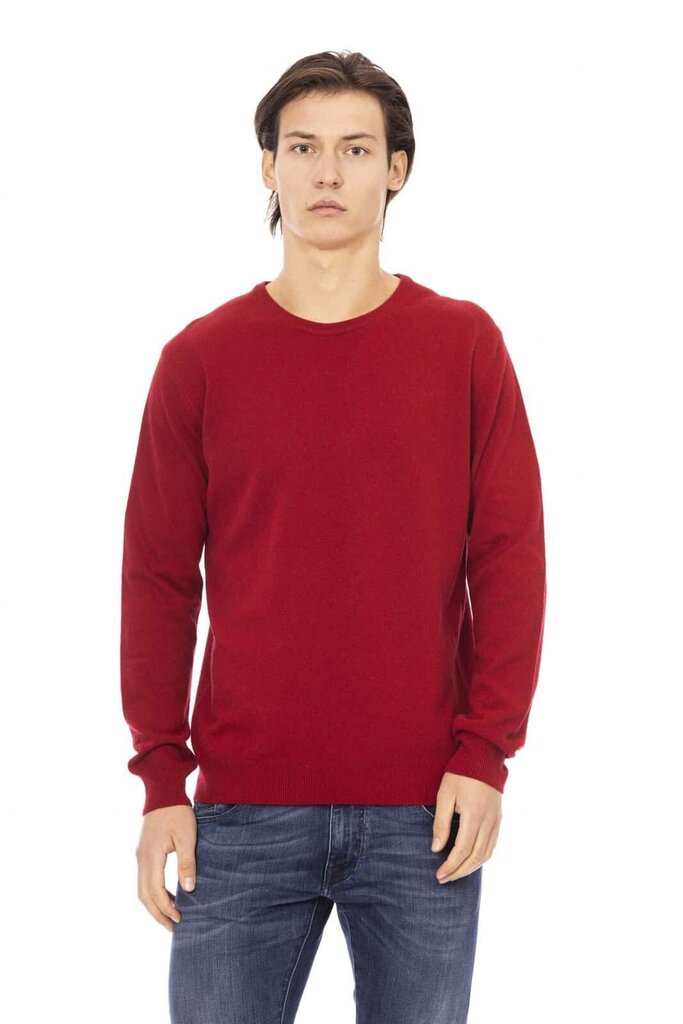 Džemperis Baldinini Trend - GC2510_TORINO cena un informācija | Vīriešu džemperi | 220.lv