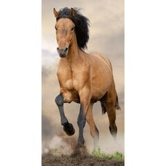 Pludmales dvielis Horse Brown, 70x140 cm cena un informācija | Dvieļi | 220.lv