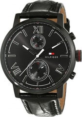 Мужские часы Tommy Hilfiger 1791310 цена и информация | Мужские часы | 220.lv