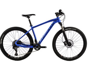 Elektriskais velosipēds Vulcan 29 MTB DV 490mm, pelēks цена и информация | Электровелосипеды | 220.lv