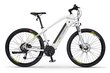 Elektriskais velosipēds Ecobike SX3 17,5 Ah LG, balts cena un informācija | Elektrovelosipēdi | 220.lv