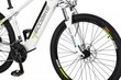 Elektriskais velosipēds Ecobike SX3 16 Ah Greenway, balts cena un informācija | Elektrovelosipēdi | 220.lv