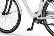 Elektriskais velosipēds Ecobike Traffic 17,5 Ah LG, balts cena un informācija | Elektrovelosipēdi | 220.lv