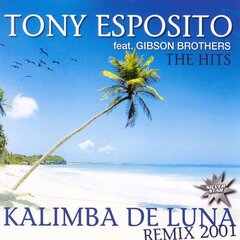 CD - Tony Esposito Feat. Gibson Brothers - The Hits цена и информация | Виниловые пластинки, CD, DVD | 220.lv