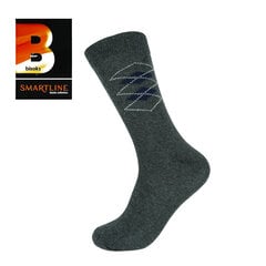 Мужские классические носки Bisoks 12162 серые цена и информация | Мужские носки | 220.lv