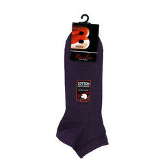 Мужские носки Bisoks 12337 фиолетовые цена и информация | Мужские носки | 220.lv