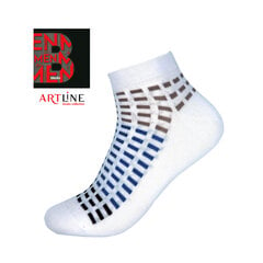 Мужские носки Bisoks 12332 белые цена и информация | Мужские носки | 220.lv