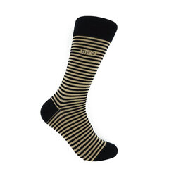 Мужские классические носки Bisoks 12326 бежевые цена и информация | Мужские носки | 220.lv