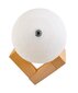 Galda lampa Led Moon, balta, 120 mm, ar kājiņu цена и информация | Galda lampas | 220.lv