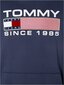 Džemperis vīriešiem Tommy Hilfiger - DM0DM15009 цена и информация | Vīriešu jakas | 220.lv
