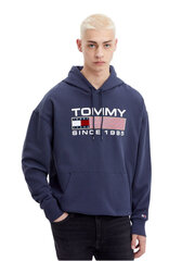 Džemperis vīriešiem Tommy Hilfiger - DM0DM15009 cena un informācija | Vīriešu jakas | 220.lv