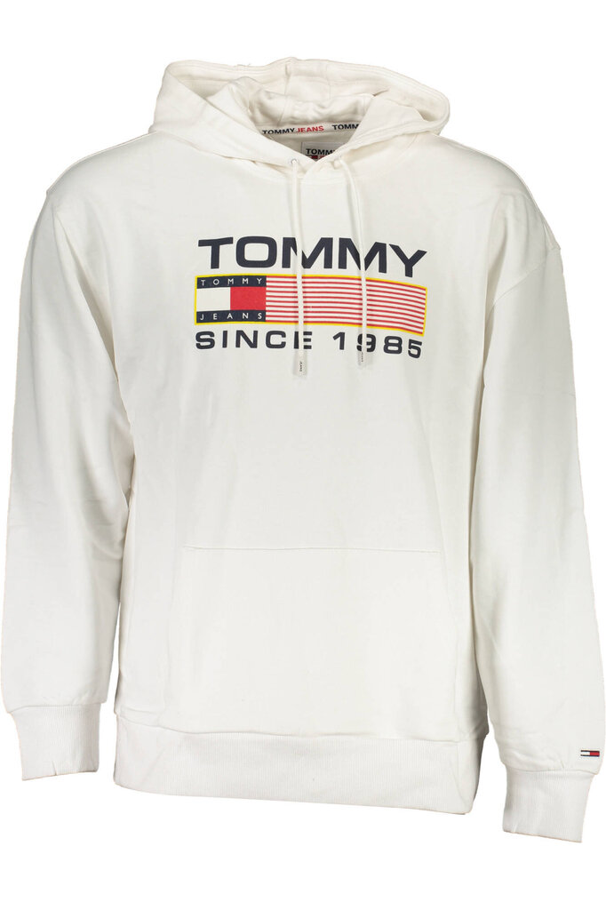 Džemperis vīriešiem Tommy Hilfiger - DM0DM15009 цена и информация | Vīriešu jakas | 220.lv