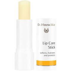 Бальзам для губ Dr. Hauschka  Lip Care Stick цена и информация | Помады, бальзамы, блеск для губ | 220.lv