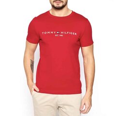 T-krekls vīriešiem Tommy Hilfiger - MW0MW11797 цена и информация | Мужские футболки | 220.lv