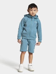 Didriksons bērnu džemperis CORIN, tirkīza krāsas cena un informācija | Zēnu jakas, džemperi, žaketes, vestes | 220.lv