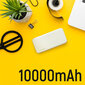 Wozinsky WPBWE1 10000mAh cena un informācija | Lādētāji-akumulatori (Power bank) | 220.lv