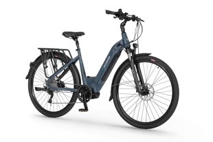 Электрический велосипед Ecobike D1 Trekking 14 Aч LG, синий цвет цена и информация | Электровелосипеды | 220.lv