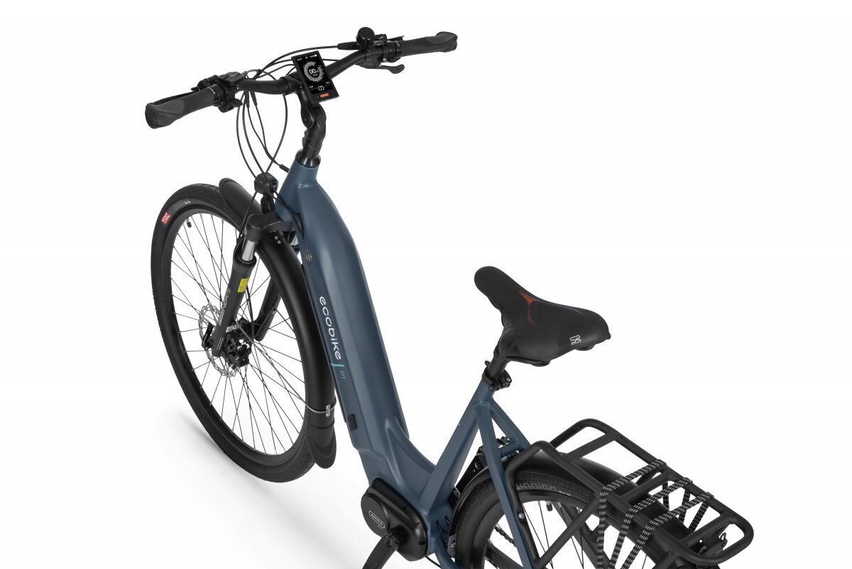 Elektriskais velosipēds Ecobike D1 Trekking 14 Ah LG, zils cena un informācija | Elektrovelosipēdi | 220.lv