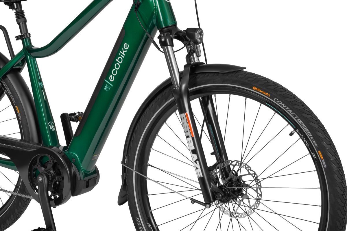 Elektriskais velosipēds Ecobike MX 300 14 Ah LG, zaļš cena un informācija | Elektrovelosipēdi | 220.lv