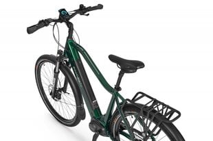 Elektriskais velosipēds Ecobike MX 300 14 Ah LG, zaļš цена и информация | Электровелосипеды | 220.lv