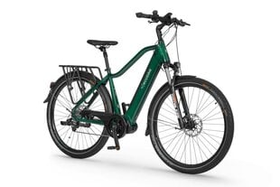 Электрический велосипед Ecobike MX 300 14 Aч LG, зеленый цвет цена и информация | Электровелосипеды | 220.lv