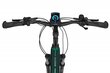 Elektriskais velosipēds Ecobike MX 300 14 Ah LG, zaļš cena un informācija | Elektrovelosipēdi | 220.lv