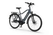 Elektriskais velosipēds Ecobike MX 20" 11,6 Ah Greenway, zils cena un informācija | Elektrovelosipēdi | 220.lv