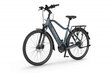 Elektriskais velosipēds Ecobike MX 20" 11,6 Ah Greenway, zils cena un informācija | Elektrovelosipēdi | 220.lv