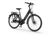 Elektriskais velosipēds Ecobike LX 21" 11,6 Ah Greenway, melns цена и информация | Elektrovelosipēdi | 220.lv