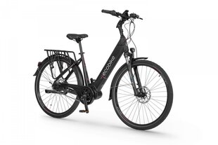 Elektriskais velosipēds Ecobike LX 19" 10,4 Ah Greenway, melns cena un informācija | Elektrovelosipēdi | 220.lv