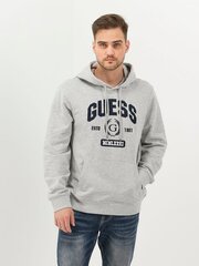 Толстовка Guess Jeans Orgnc Terry Collegiate 563931665 цена и информация | Мужские свитера | 220.lv