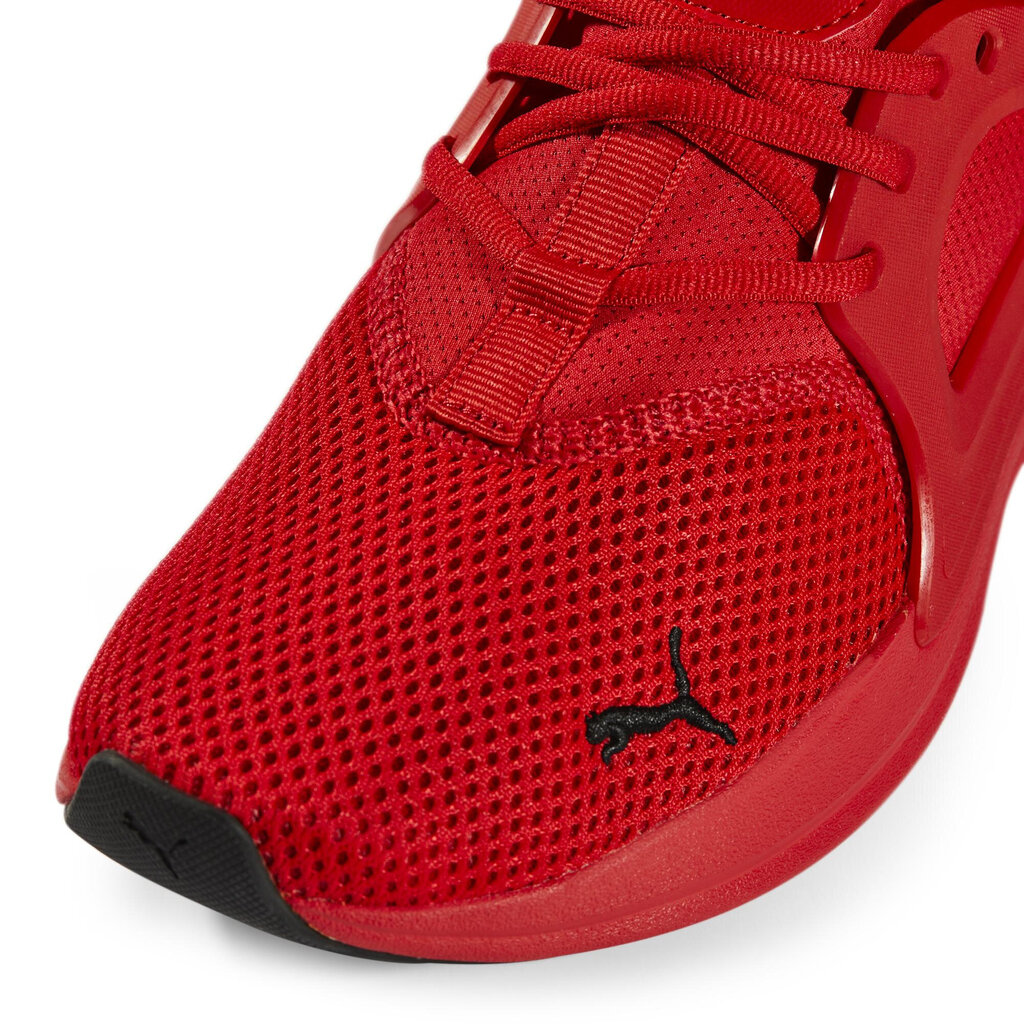 Puma Apavi Softride Enzo Red 377048 02 377048 02/9 cena un informācija | Sporta apavi vīriešiem | 220.lv