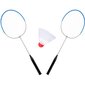 Badmintona komplekts Enero cena un informācija | Badmintons | 220.lv