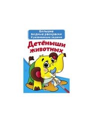   цена и информация | Книжки - раскраски | 220.lv