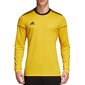 Sporta T-krekls Adidas Squadra 17 JSY LS JR CF6784 cena un informācija | Zēnu krekli | 220.lv