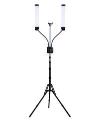 Лампа 40W со штативом FT-450 цена и информация | Осветительное оборудование для фотосъемок | 220.lv