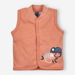 Жилет для мальчика Nini, ABN-3179 цена и информация | Кофточки, джемперы, пиджаки для младенцев | 220.lv
