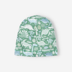 Cepure zēnam Nini ABN-3161, zaļa цена и информация | Шапки, перчатки, шарфики для новорожденных | 220.lv