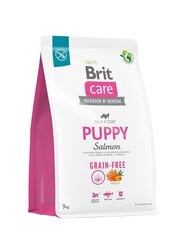 BritCare Grain-free sausā barība visu šķirņu kucēniem un jauniem suņiem, 3 kg (jauns iepakojums) цена и информация | Сухой корм для собак | 220.lv