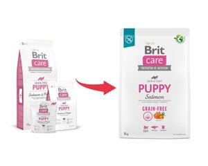 BritCare Grain-free sausā barība visu šķirņu kucēniem un jauniem suņiem, 3 kg (jauns iepakojums) cena un informācija | Sausā barība suņiem | 220.lv