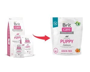Brit Care Grain-free сухой корм для щенков и молодых собак всех пород, 1 кг цена и информация | Сухой корм для собак | 220.lv