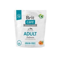 Brit Care Grain-free sausā barība mazo un vidējo šķirņu suņiem, 1 kg (jauns iepakojums) cena un informācija | Sausā barība suņiem | 220.lv