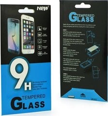 Защитное стекло PremiumGlass 9H для Xiaomi Redmi Note 9 Pro Max цена и информация | Защитные пленки для телефонов | 220.lv