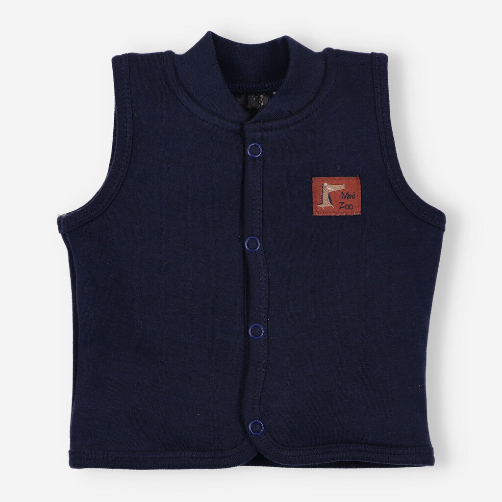 Mazuļa zēna veste цена и информация | Džemperi, vestes, jaciņas zīdaiņiem | 220.lv